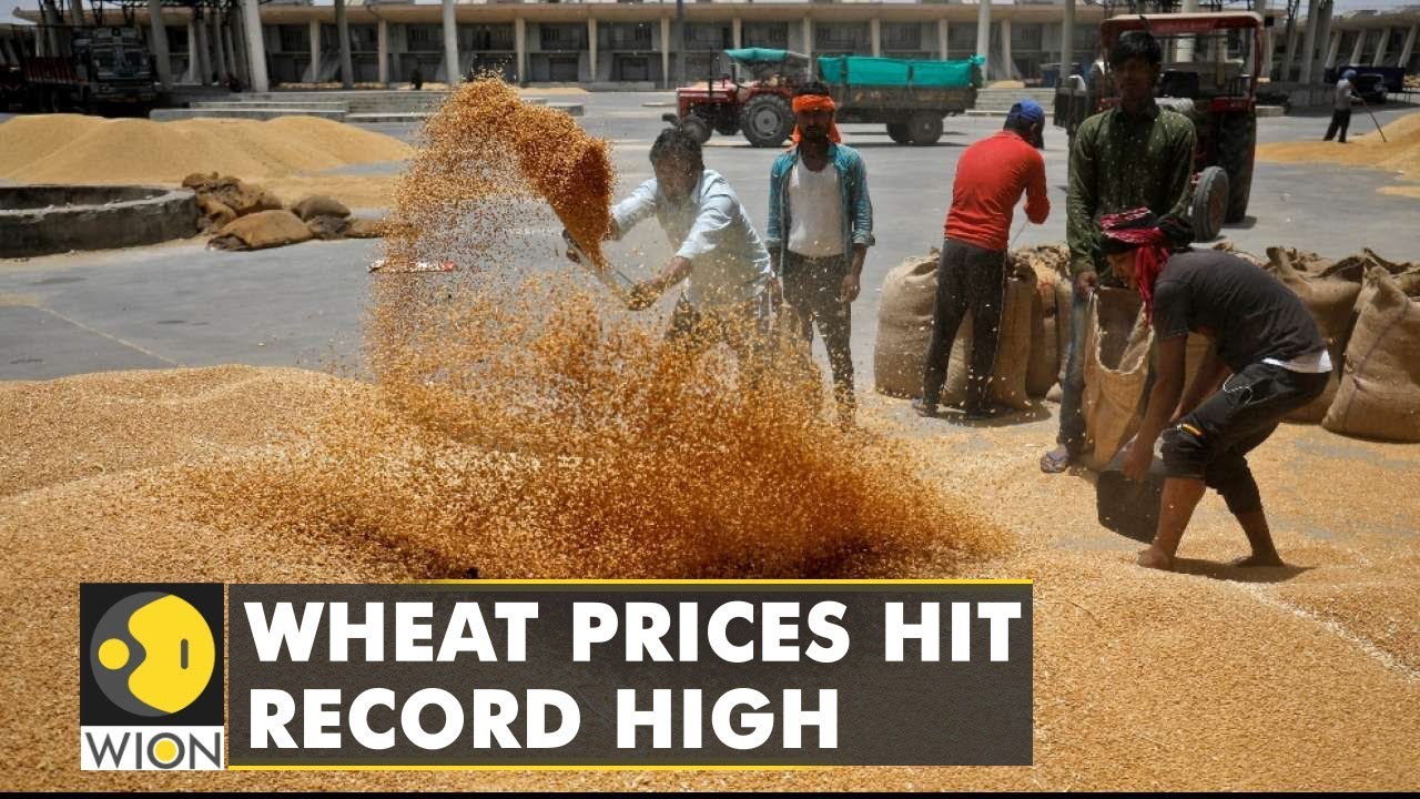 India Gets Unlikely Support From China Over Wheat Export Ban | India ...