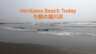 今朝の堀川浜 Horikawa Beach Today 06-06-2020