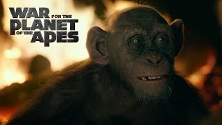War for the Planet of the Apes - Bad Ape Clip