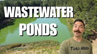 Wastewater Facultative Ponds and Lagoons
