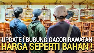 SERBA MURAH ! BURUNG GACOR RAWATAN INI HARGA SEPERTI BAHAN DI PASAR BURUNG PRAMUKA HARI INI