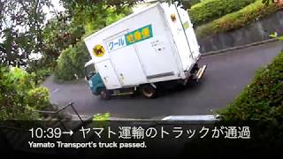 EDR June #13 2020 The Yamato Transport's Truck Provoked me