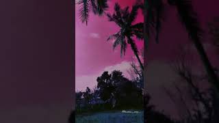 Bachpan ka pyar | new song | aesthetic video.