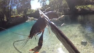 HUNTING FOR CRAYFISH AT OLD SPANISH BRIDGE | Catch \u0026 Cook