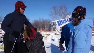 DudeLikeHELLA on the Iditarod Trail - Huslia, Alaska