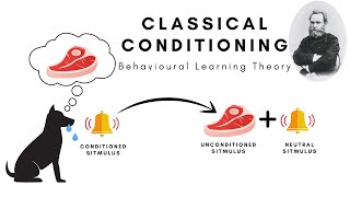 Classical Conditioning (Pavlovian Conditioning) and Second-order/Higher-order Conditioning