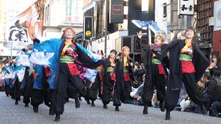 島根県立大学 よさこい橙蘭 📍YOSAKOIさせぼ祭り (山県会場) 2023-10-21T17:12