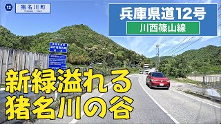 兵庫県道12号〔川西篠山線〕2024年   4K