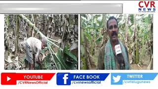 అరటి రైతులకు కన్నీళ్లు | Banana Farmers Facing Problems due to Lockdown | CVR News