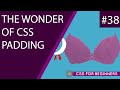 CSS Tutorial For Beginners 38 - Padding