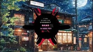 著名 DJ 歌曲 DJ串烧 DJ粤语女声 【真的爱你 - Beyond 】《暗里着迷 , 活着 , G E M 鄧紫棋【海闊天空】秒针,难得有情人》2024年香港流行DJ歌曲最佳合輯