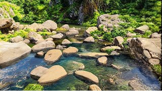 Calming Waters: Ideal River Sounds for Sleep. Peaceful River Sounds to Soothe the Soul