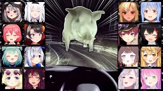 Hololive girls VS the boar jump scare! (The Radio Station)【Hololive / ENG SUB】