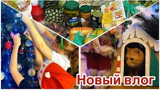 Большой закуп продуктов к Нг 🛒|| Поставили ёлочку🎄|| Готовлю ужин 🍲 || Делаю заготовки к НГ столу🧨