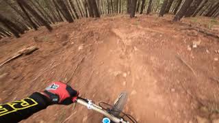 Mystic DH Trail @ Bright