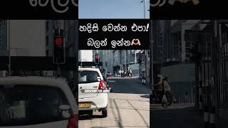 හදිසි වෙන්න එපා, බලන් ඉන්න! Sinhala facts sinhala thought  #sinhala #short #facts #thoughts වදන් #u