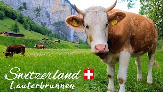 LAUTERBRUNNEN Village and Valley | Paradisiacal Switzerland | 4K UHD 60fps Video