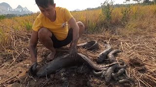 QUYEN FISHING189 | Listening to vibrations in dry fields, young people discovered fish stranded