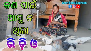 କଣ ପାଇଁ ଆସୁ ନ ଥିଲା ଭି ଡି ଓ/Arun Suna Express