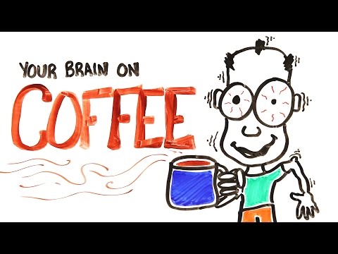 Your Brain On Coffee Your Brain On Coffee