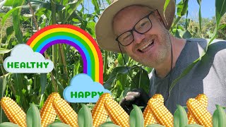 How to Grow \u0026 Harvest Corn with Jim Gaffigan | Happy \u0026 Healthy Eps 2/ Top Tips