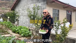 回家了，吃点地里现摘的豌豆尖煮汤饭就觉得很美味