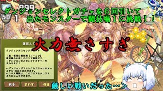 【ゆっくり実況】ダンジョンセレクトガチャ六回で出たモンスターで闘技場１