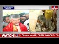 తిరుమలకు పూర్వ వైభవం తీసుకొస్తాం cm chandrababu about tirumala tirupati vaibhavam hmtv