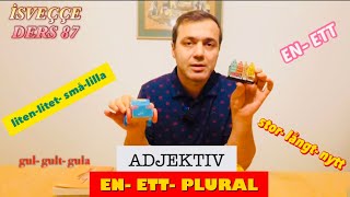 İSVEÇÇENİN TEMEL DERSİ SIFATLAR / ADJEKTIV (EN,ETT, PLURAL) DERS 87