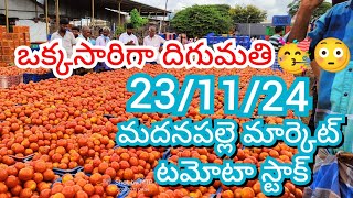 23-11-24 Madanapalle Tomato Market price Today || Today Tomato Market Rate in Madanapalle #today