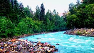 Calming Blue Forest River. Relaxing Nature Sounds. (10 hours). White noise for sleeping.