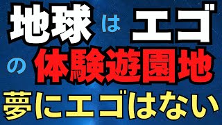 地球はエゴ体験遊園地　夢にエゴは存在しないといえるのか？　2025/1/18