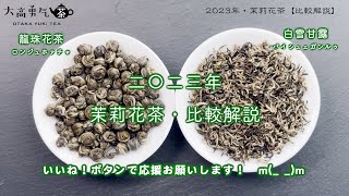 【2023年】茉莉花茶２種類の比較ビデオです。茶葉の外形や特徴などを解説しました！【中国上海・中国茶専門店】中国茶・花茶編