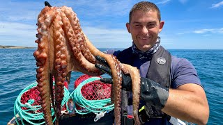 Octopus Catch, Clean, Cook. How to cook Octopus 3 Ways | The Fish Locker