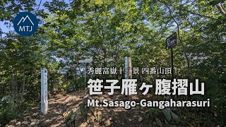 奥秩父 笹子雁ヶ腹摺山 笹子峠から往復【登山・日帰り・車・2023年7月28日】山梨県大月市・甲州市