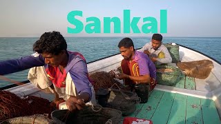 FISHERMEN OF GWADAR | Series | Episode 4 Part I | SANKAL