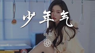 錦零 - 少年氣『你我少年性 偏愛紅塵煙火氣』【動態歌詞Lyrics】