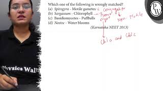 Which one of the following is wrongly matched?
(a) Spirogyra - Moti...