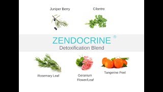 Zendocrine Detoxification Blend Online Class