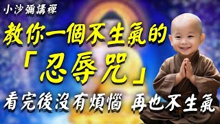 生氣罵人造口業！高僧分享：這個不生氣的「忍辱咒」，念一遍煩惱全消，從此不發脾氣！#小沙彌講禪 #佛教 #佛法 #阿弥陀佛 #南無阿彌陀佛 #菩薩 #佛學 #佛陀 #福報