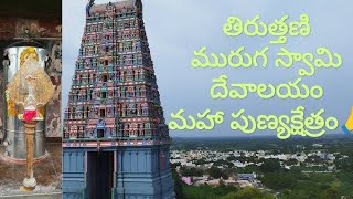 Arulmigu Thiruthani Murugan #temple #video #telugu