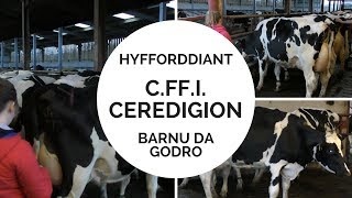 Hyfforddiant Barnu Da Godro C.FF.I. Ceredigion 2018