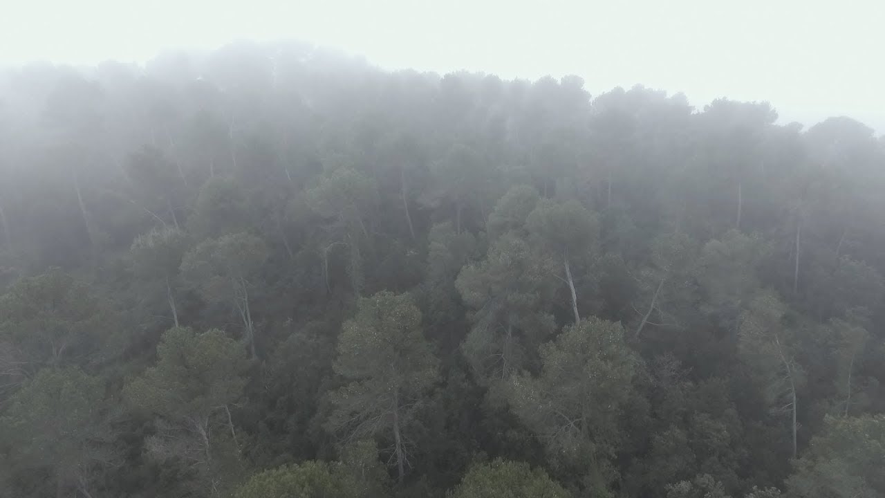 Free Stock Footage Nature Drone Full Hd Youtube