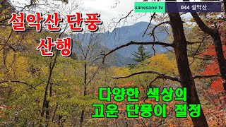 설악산 단풍 산행 (2020.10.14) / 백담사-오세암-마등령-설악동