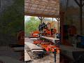 Sawing Black Gold, Nice Walnut on the Sawmill