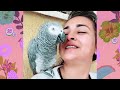 sassy parrot is friends with only one person