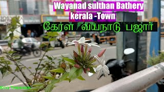 Wayanad| Sulthan Bathery Town |Kerala | India |Subscribe to Eco Trekker