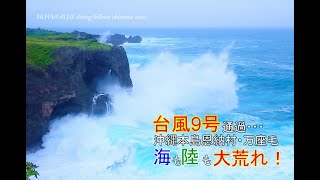 台風9号(メイサーク）通過後の恩納村の様子です。