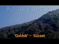 kanal poeziya qalıbdı sücaət səs furqani