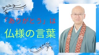 他力の中に味わう「ありがとう」は仏さまの言葉　暮らしの中の仏教語シリーズ　そうだお坊さんとお茶しようオンライン#浄土真宗#親鸞聖人#本願寺#善了寺#南無阿弥陀仏